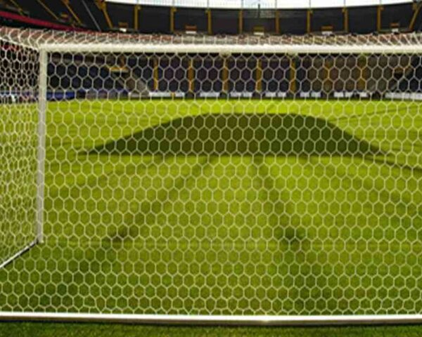 Fußball Tornetze 7,32 x 2,44 m einfarbig mit wabenförmigen Maschen, alle Varianten nach Wahl